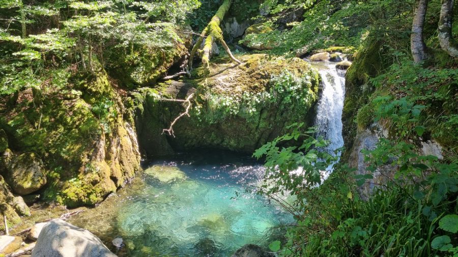 ארטיגה דה לין